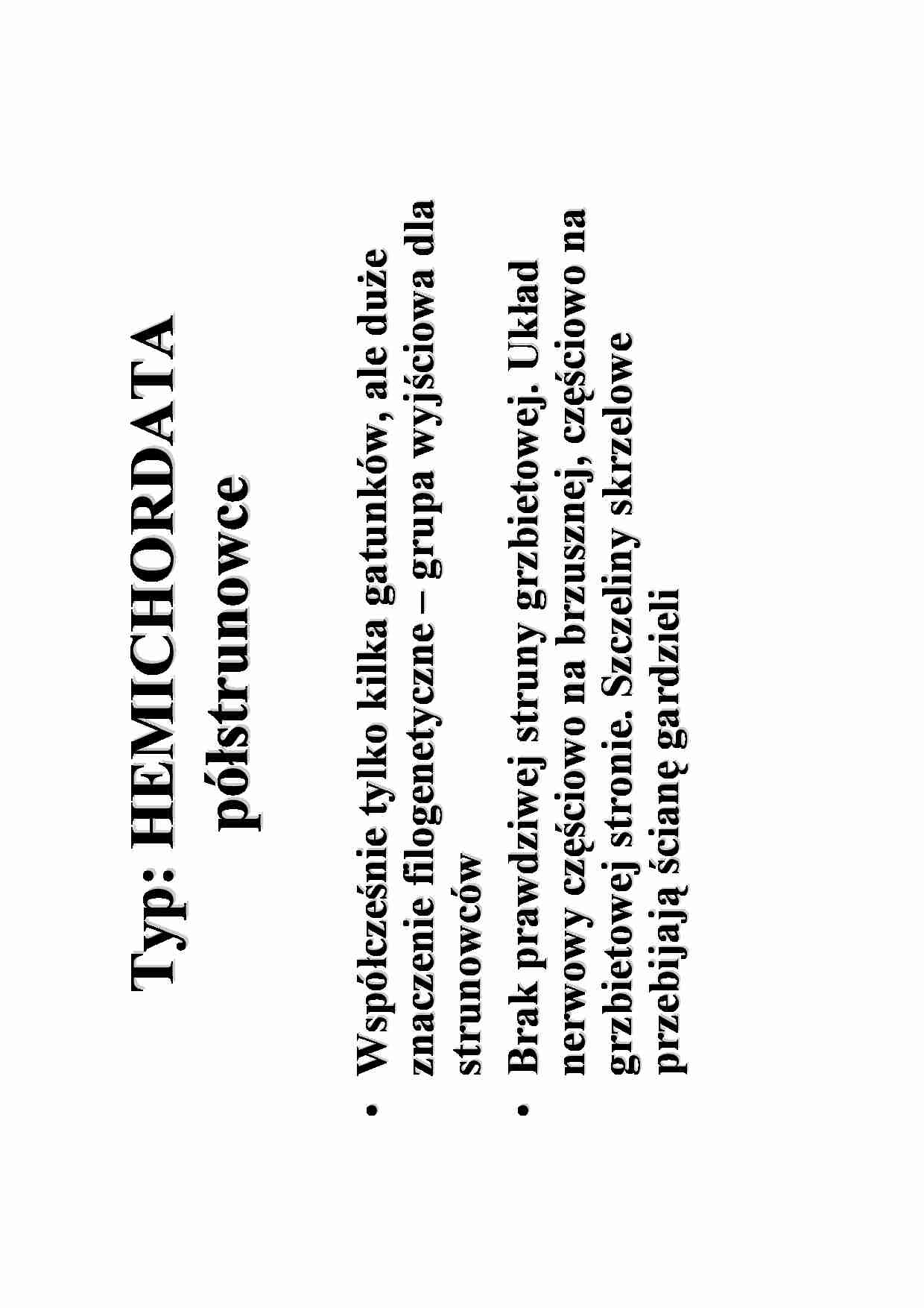 Graptolity - strona 1