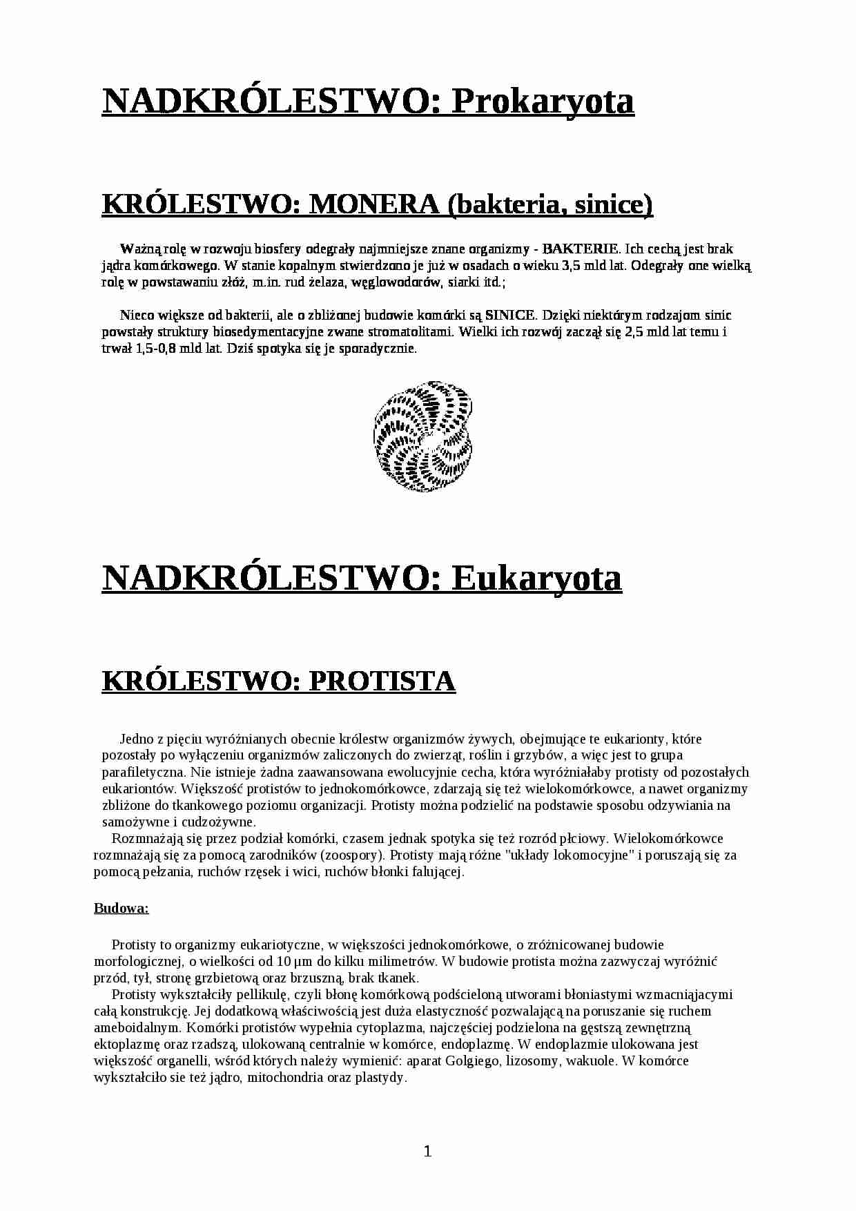 Systematyka - strona 1