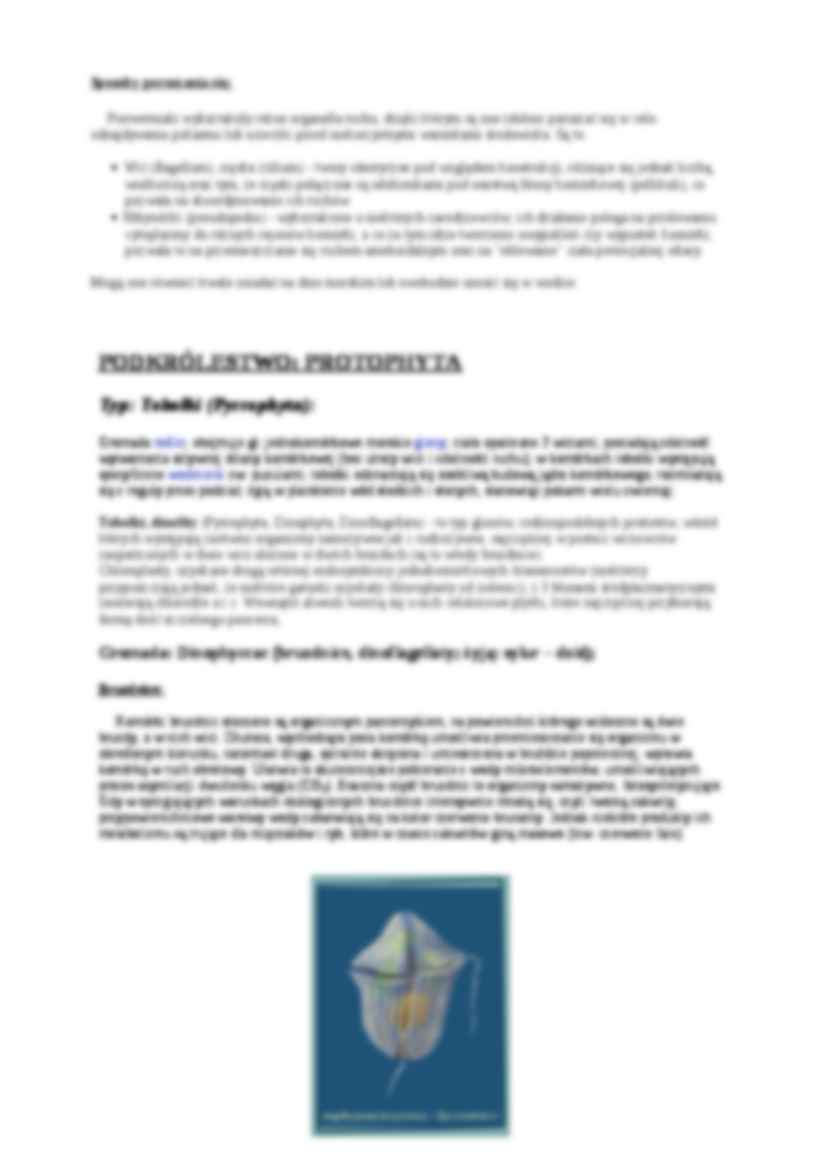 Systematyka - strona 2