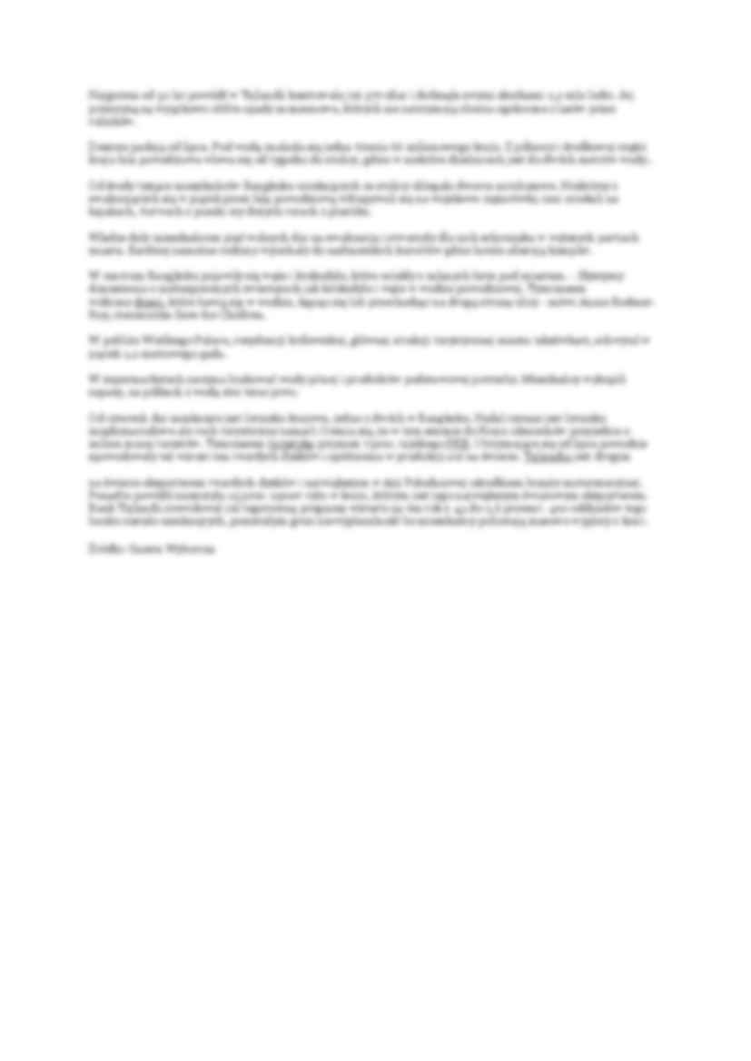 Dramatyczna powódź w Tajlandii - strona 3