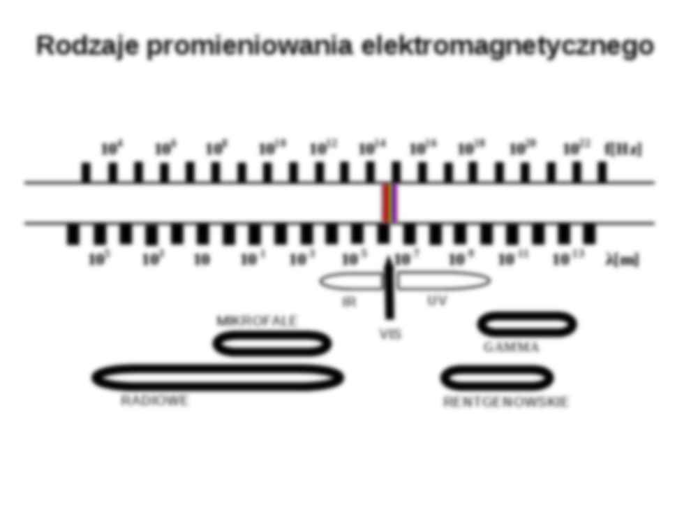 Podstawowe metody neuroobrazowania - fMRI, PET - strona 2