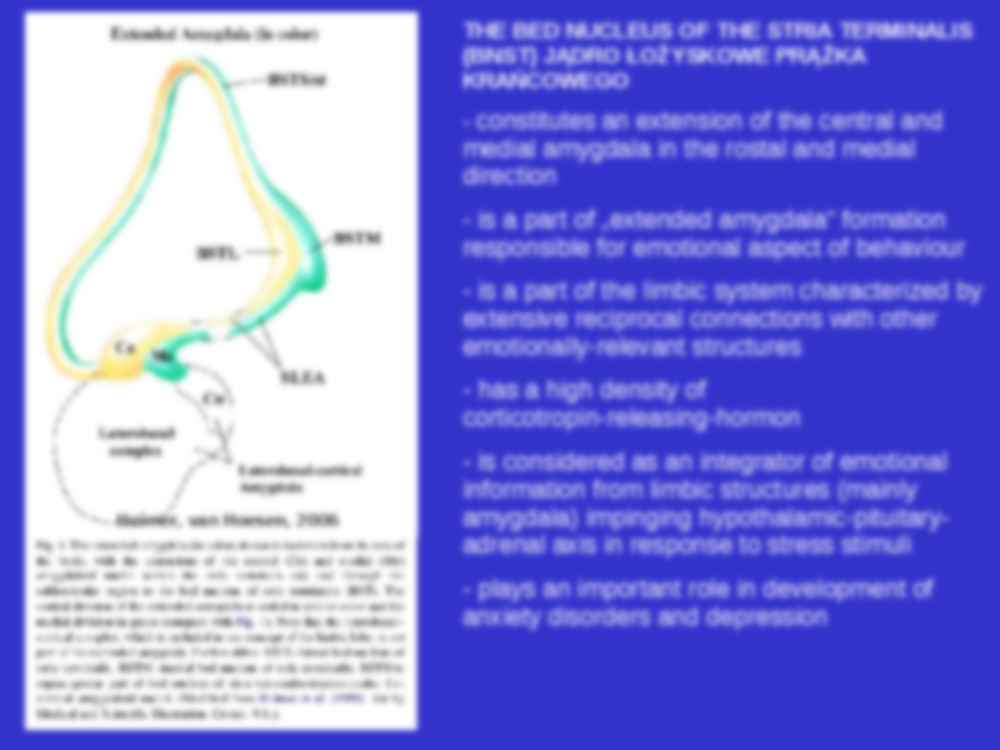 Metody immunohistochemiczne - ciąg dalszy - strona 3