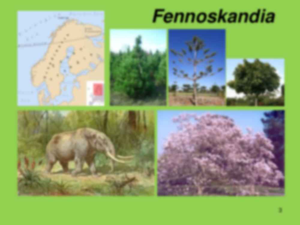 Bałtyk i habitaty - strona 3