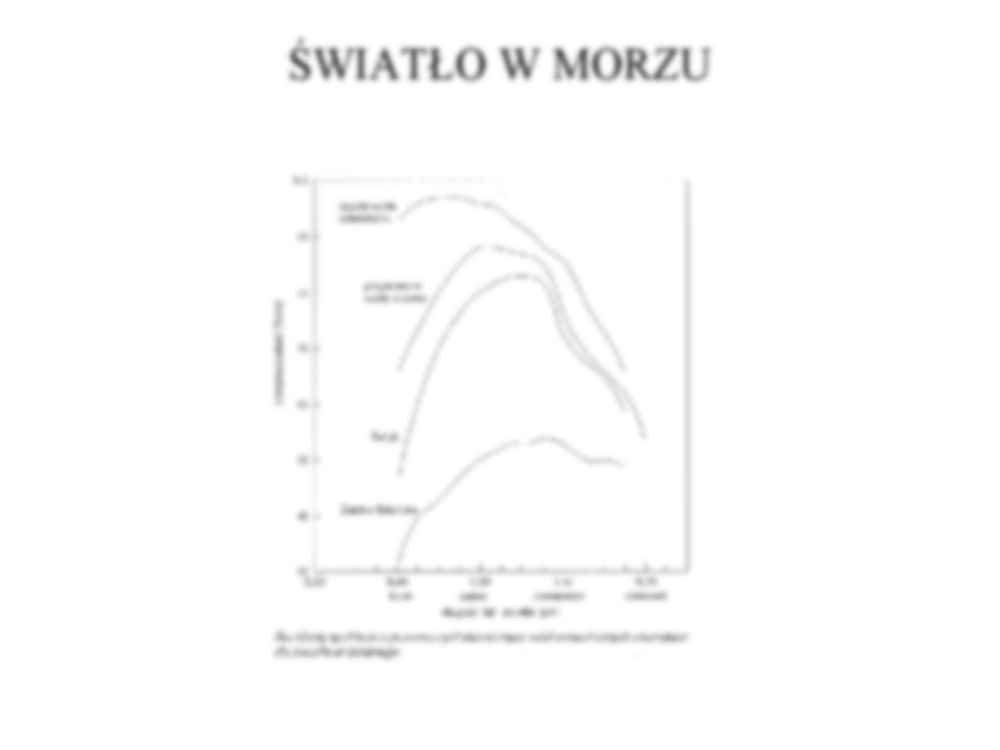Światło w morzu  - strona 3
