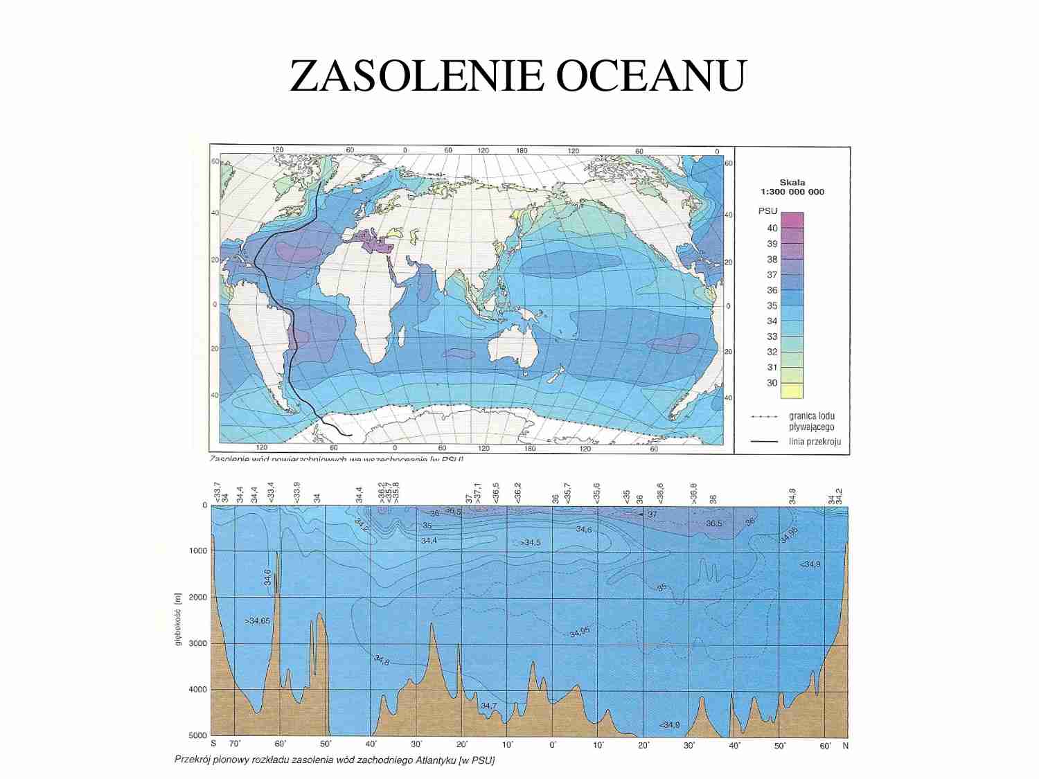 Zasolenie oceanu - czynniki - strona 1