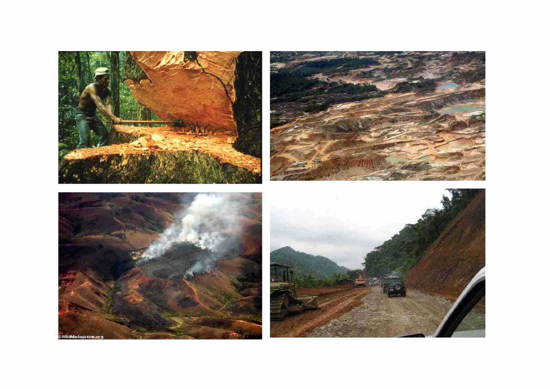 Bakterie i organizmy - strona 1