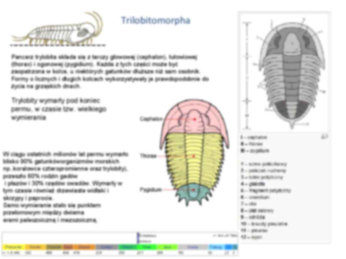 Zwierzęta - charakterystyka podgatunków  - strona 2