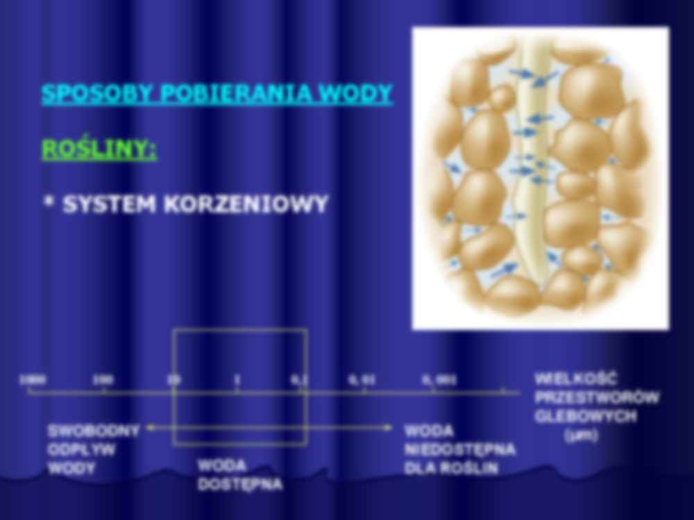 Atmosfera i czynniki środowiskowe - strona 2