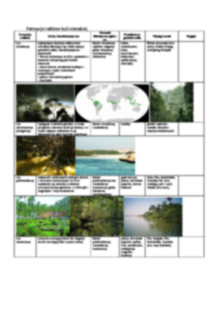 Procesy glebotwórcze. Zróżnicowanie gleb na kuli ziemskiej - strona 3