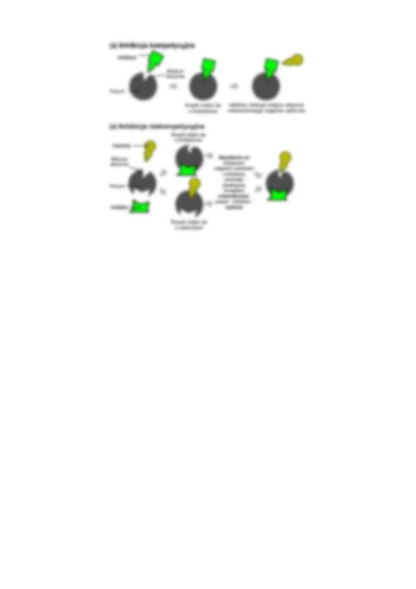 Enzymy - omówienie zagadnień - strona 3