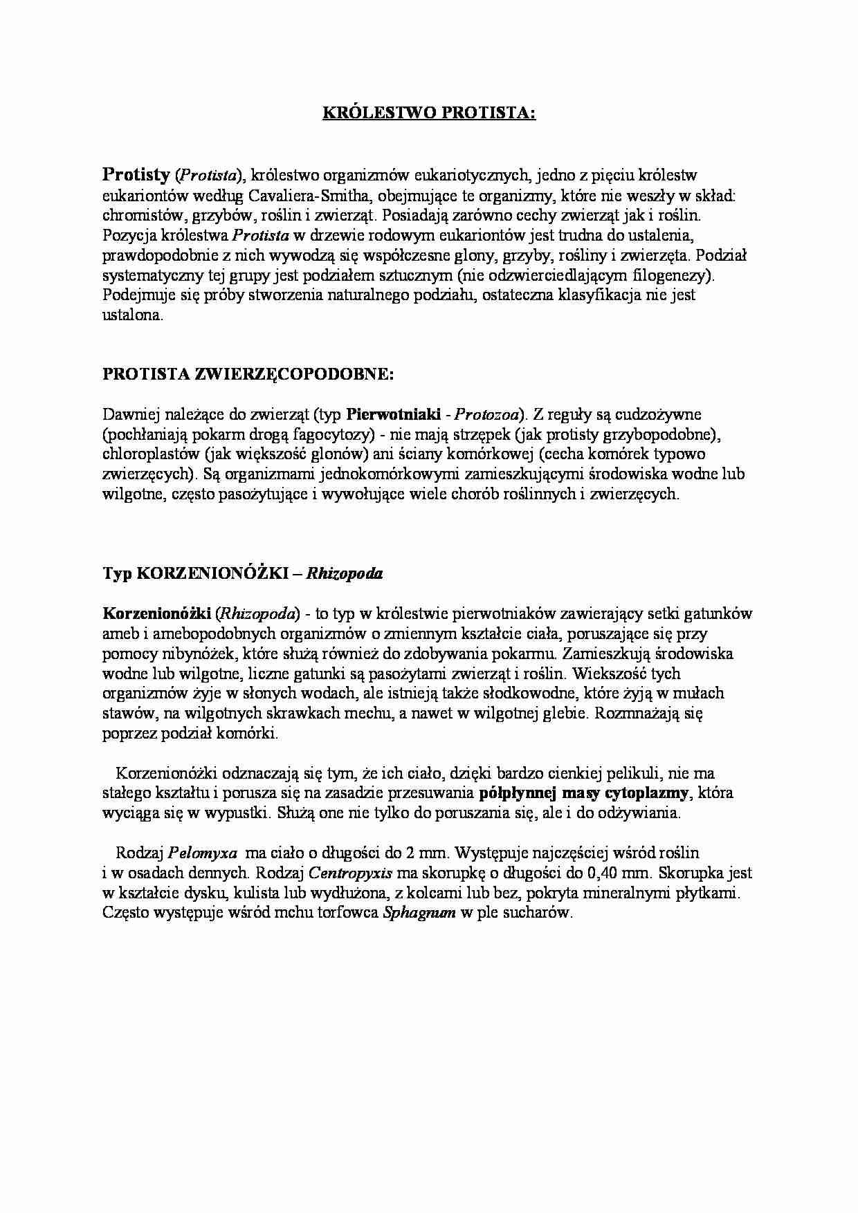 Królestwo protista - opis - strona 1