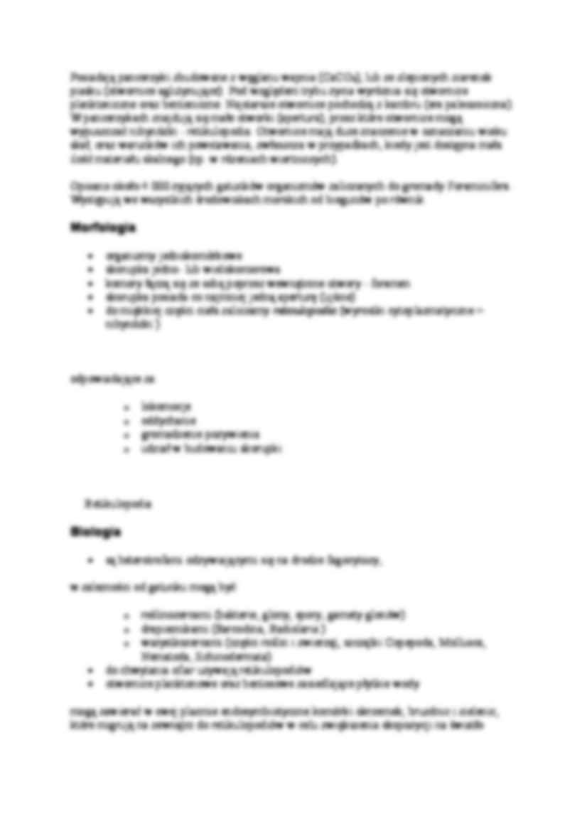 Królestwo protista - opis - strona 3