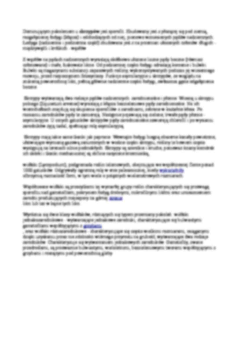 Mszaki - charakterystyka - strona 3