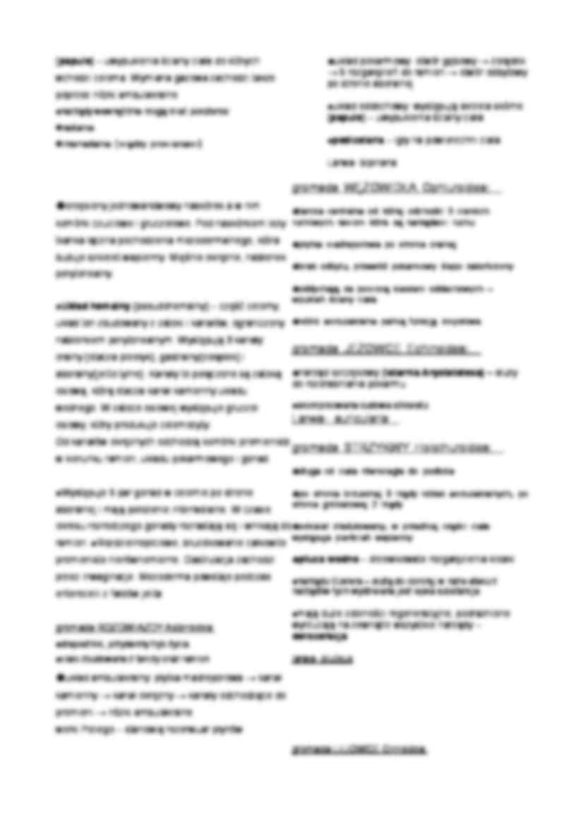 Szkarłupnie - omówienie - strona 2