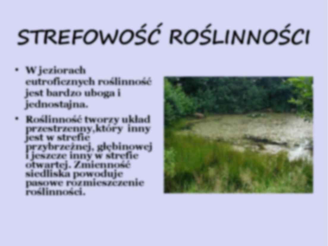 Jeziora eutroficzne - omówienie zagadnienia - strona 2