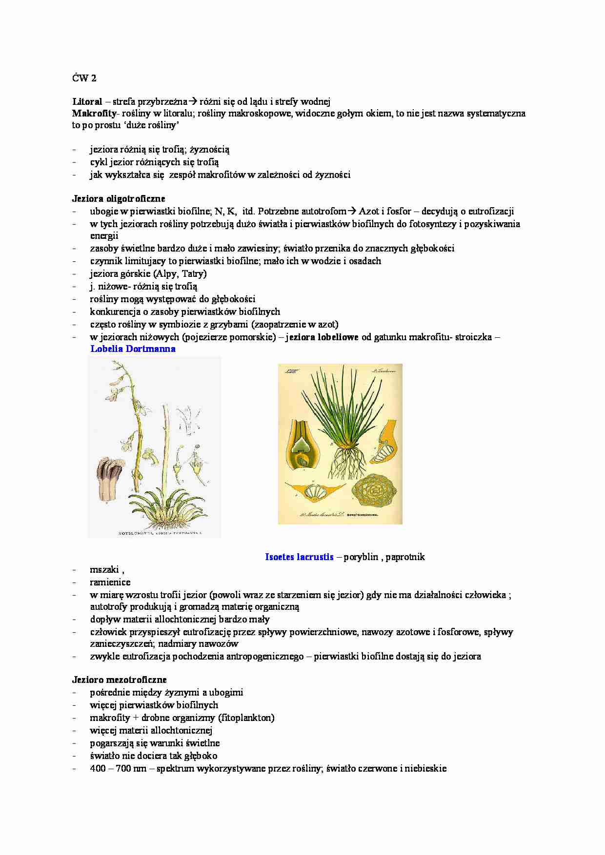 Roślinność w jeziorze - strona 1