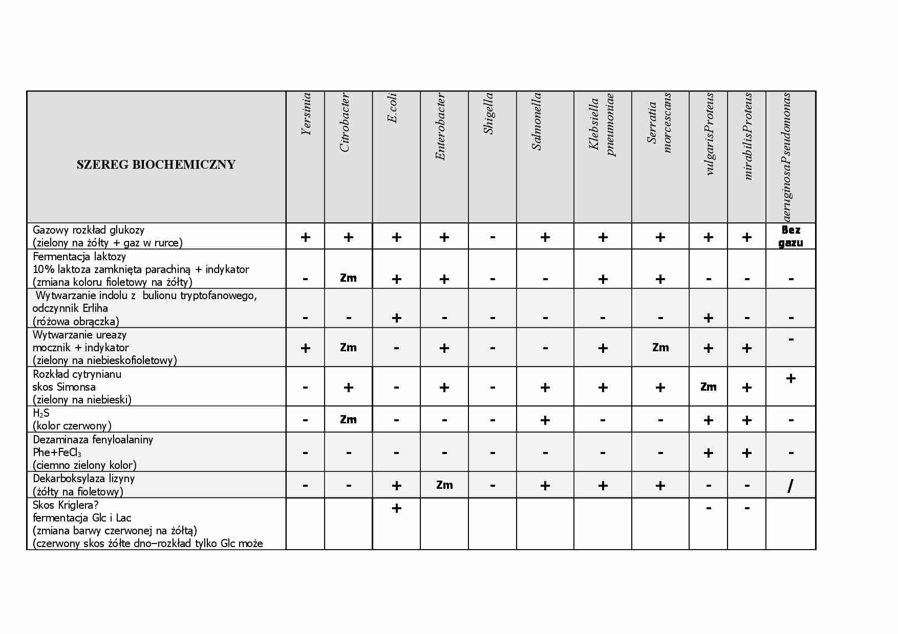 Mikrobiologia - szereg biochemiczny - strona 1