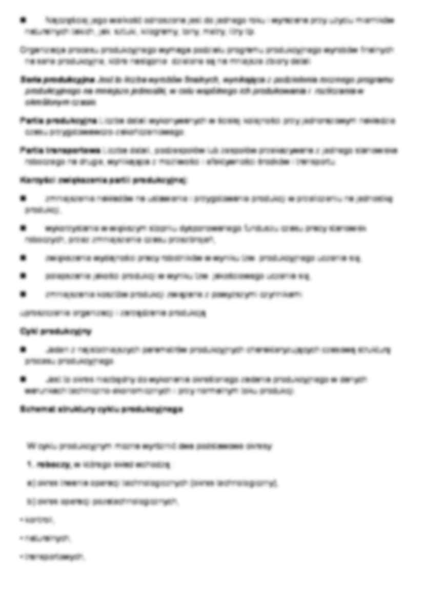 Proces i program produkcyjny - strona 3