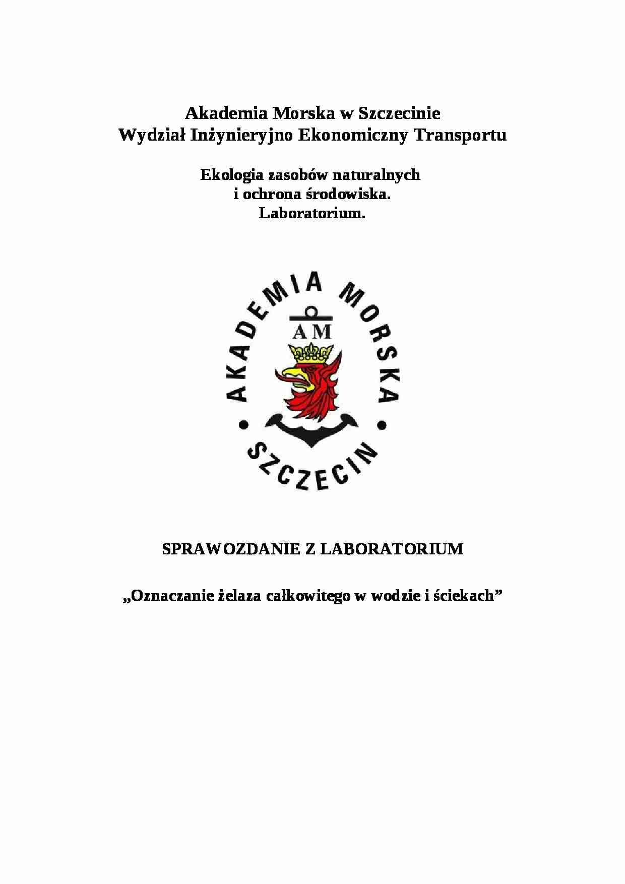 Oznaczanie żelaza całkowitego w wodzie i sciekach - sprawozdanie - strona 1