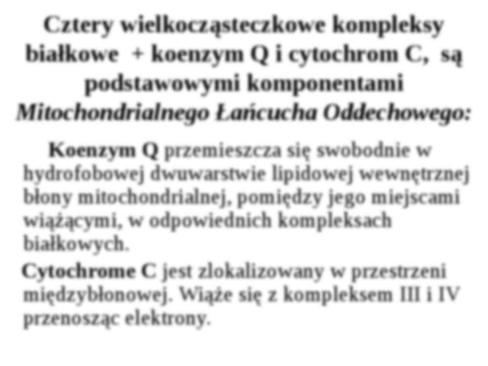 Łańcuch oddechowy - strona 2