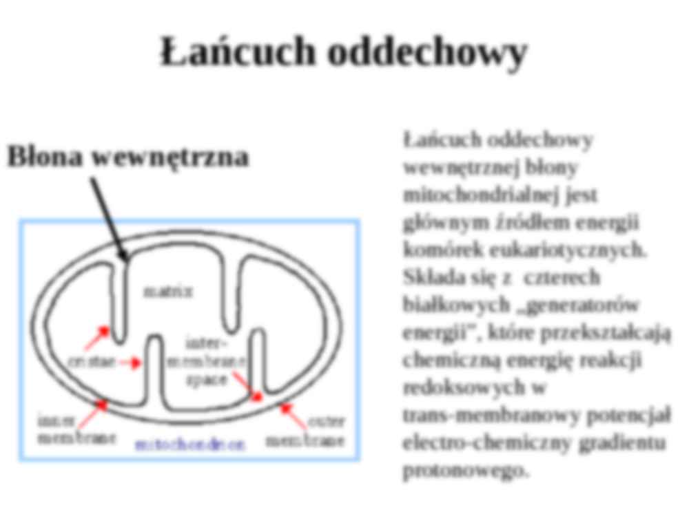 Łańcuch oddechowy - strona 3