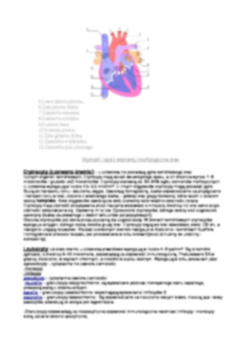 Układ krwionośny  - strona 2