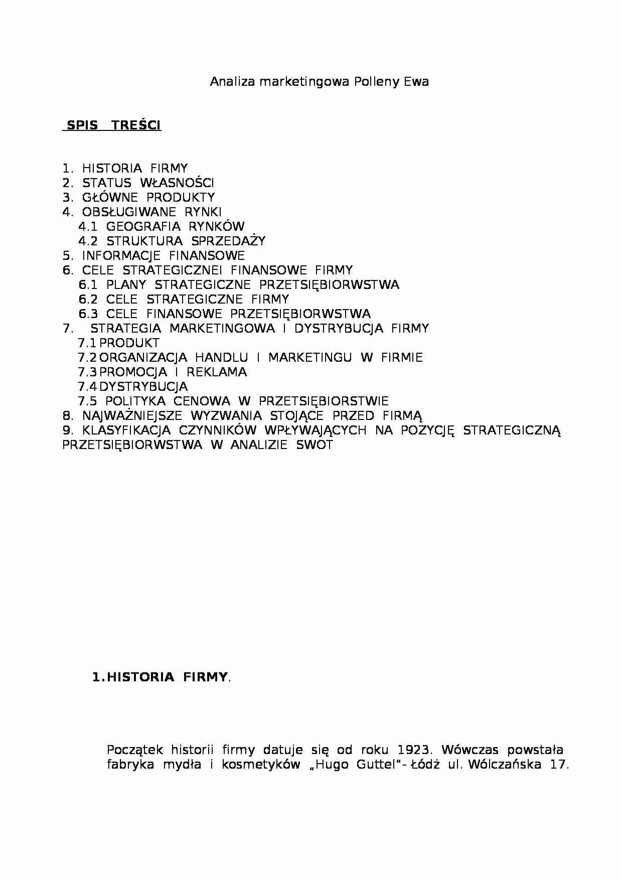 Analiza marketingowa firmy - strona 1