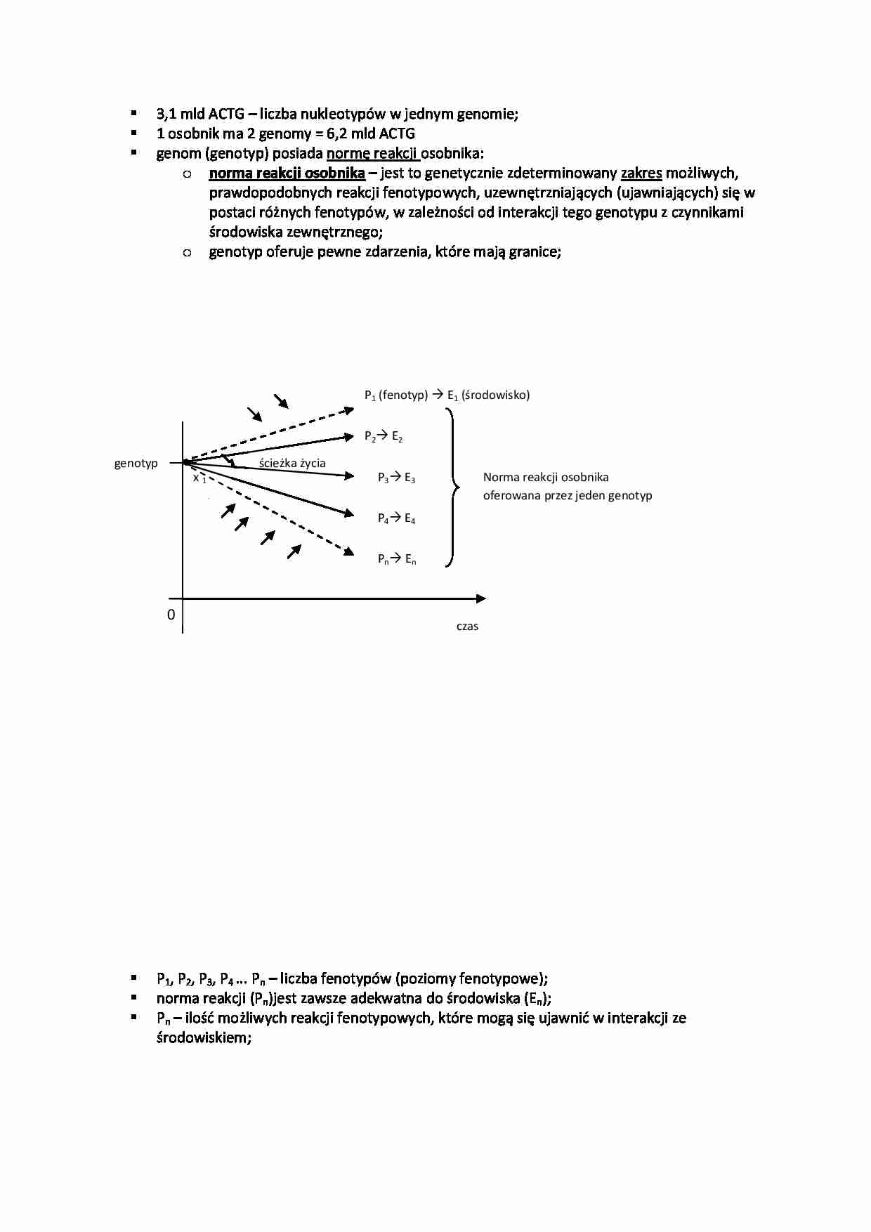 Fazy rozwoju i poziom rozwoju  - strona 1