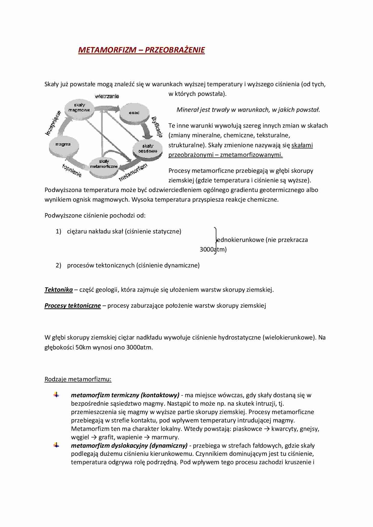 Metamorfizm - przeobrażenie  - strona 1