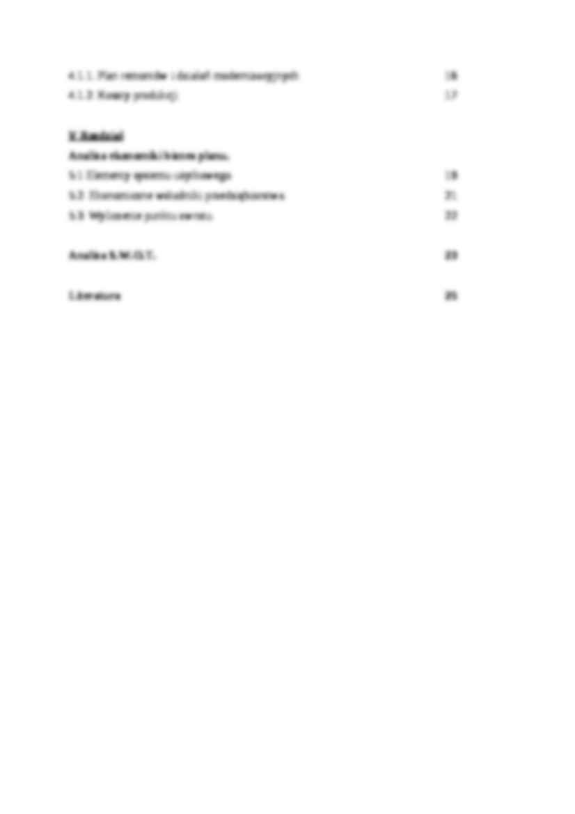Plan marketingowy - biuro podróży - strona 3