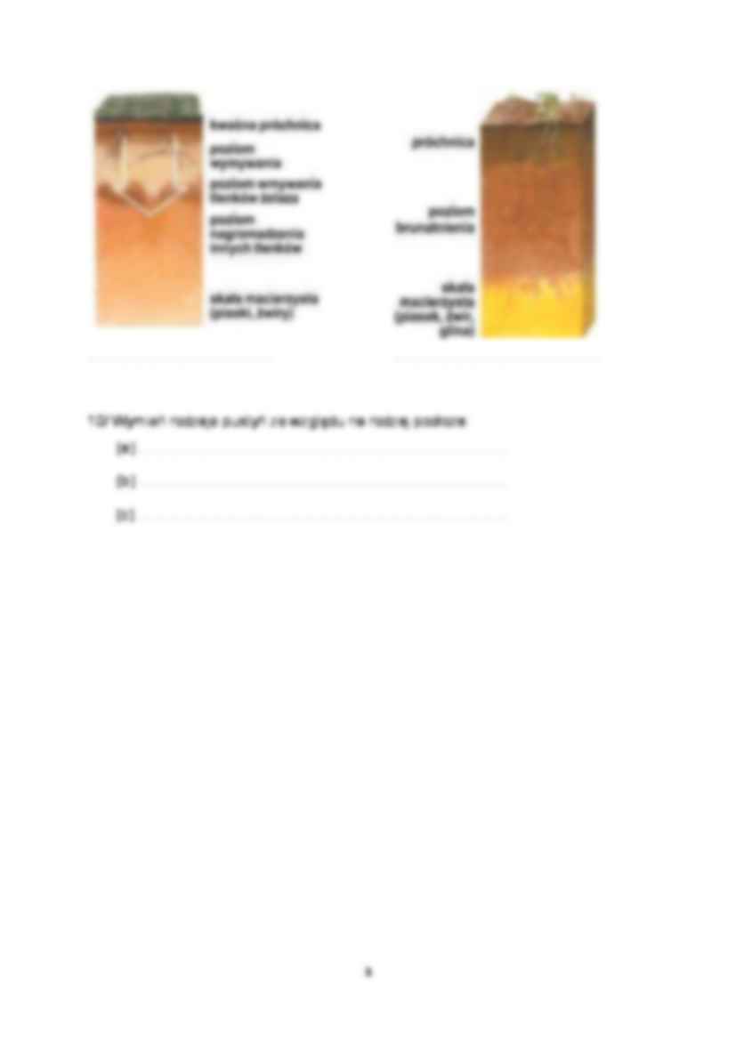 Egzamin 2-zagadnienia - strona 3