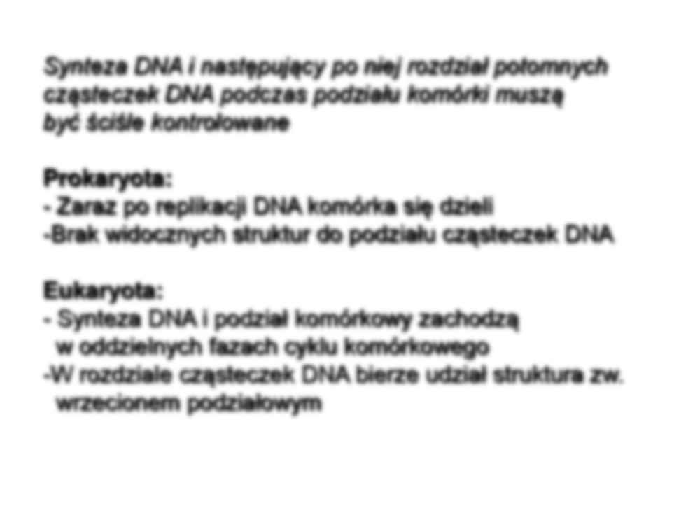 Cykl komórkowy -  Ekspresja genów - strona 3