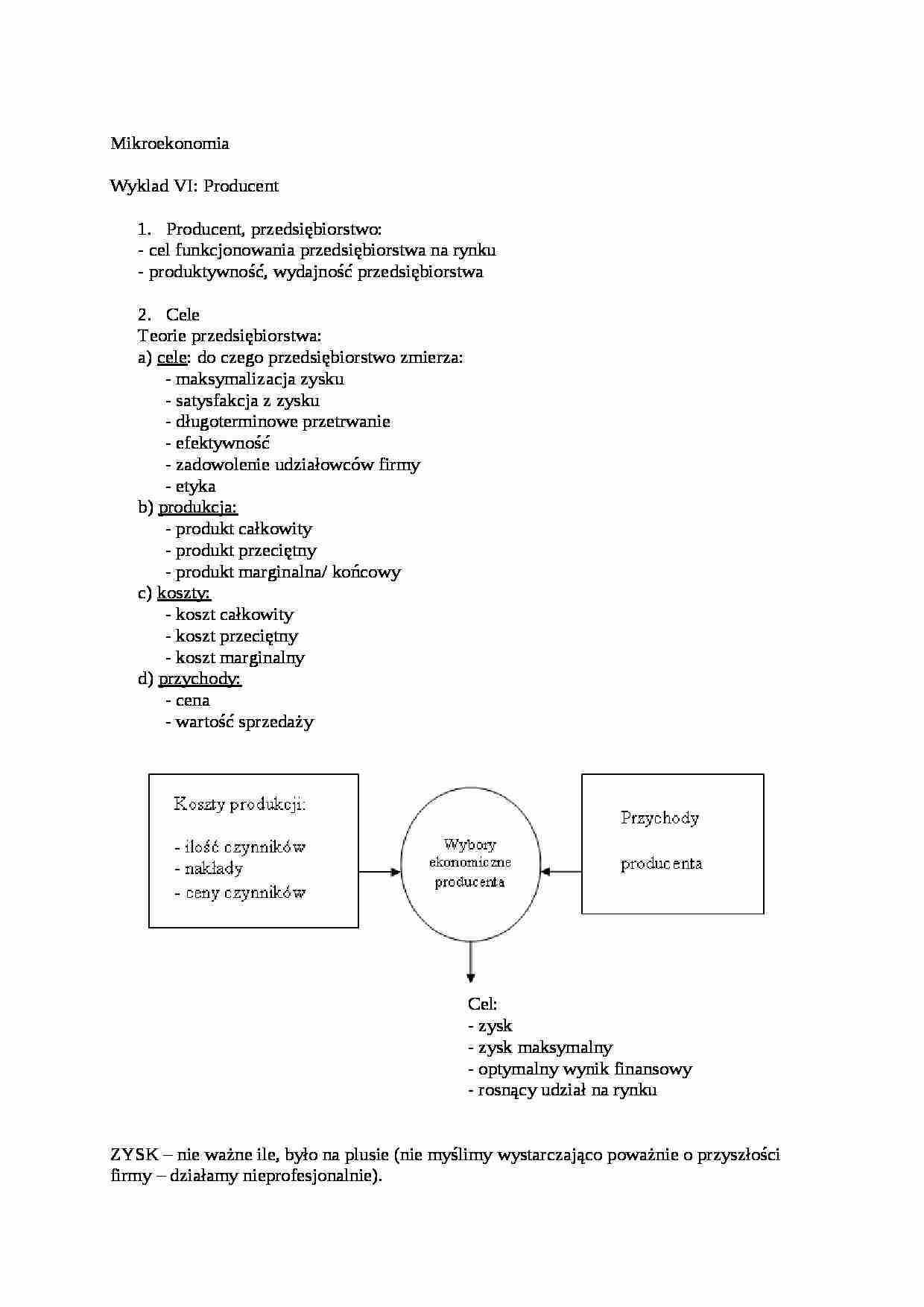 Producent - Teorie przedsiębiorstwa - strona 1