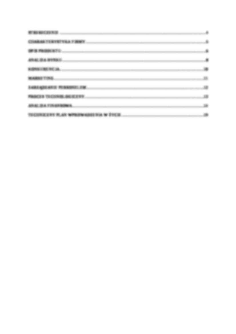 Biznes plan - sklep - strona 3