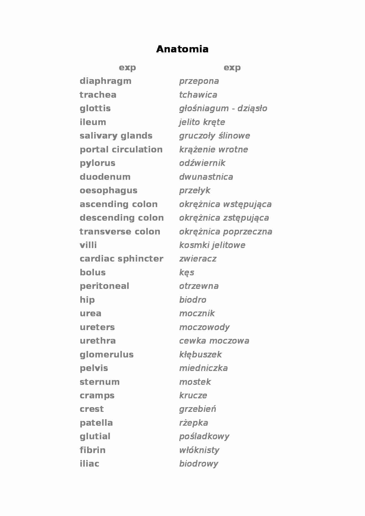 Anatomia - słówka - strona 1