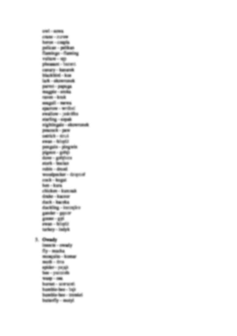 słówka - świat przyrody - strona 3