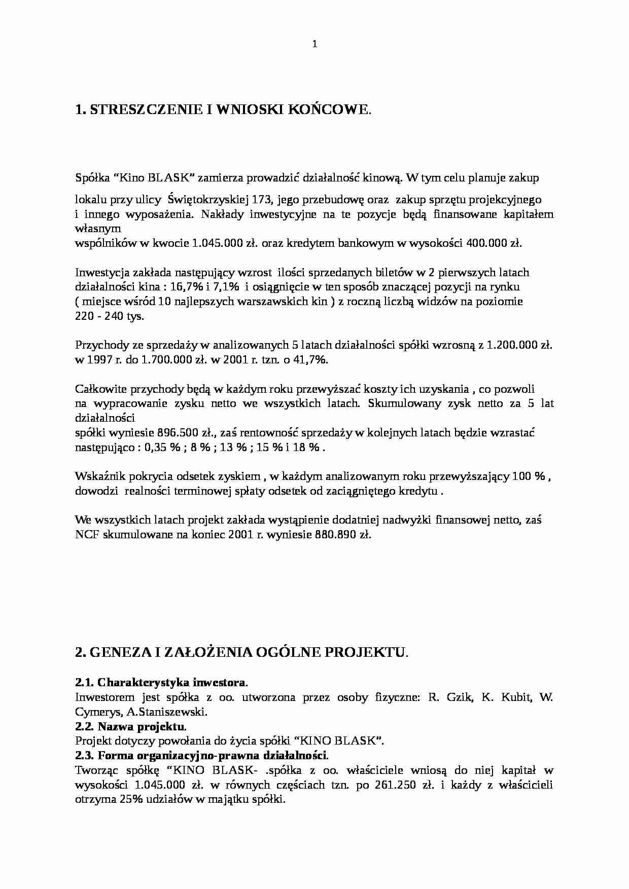 Biznes plan - kino - strona 1