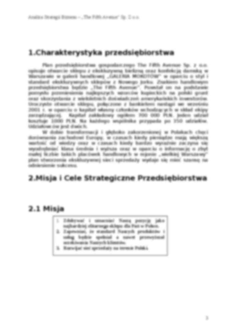 Biznes plan - sklep z bielizną - strona 3