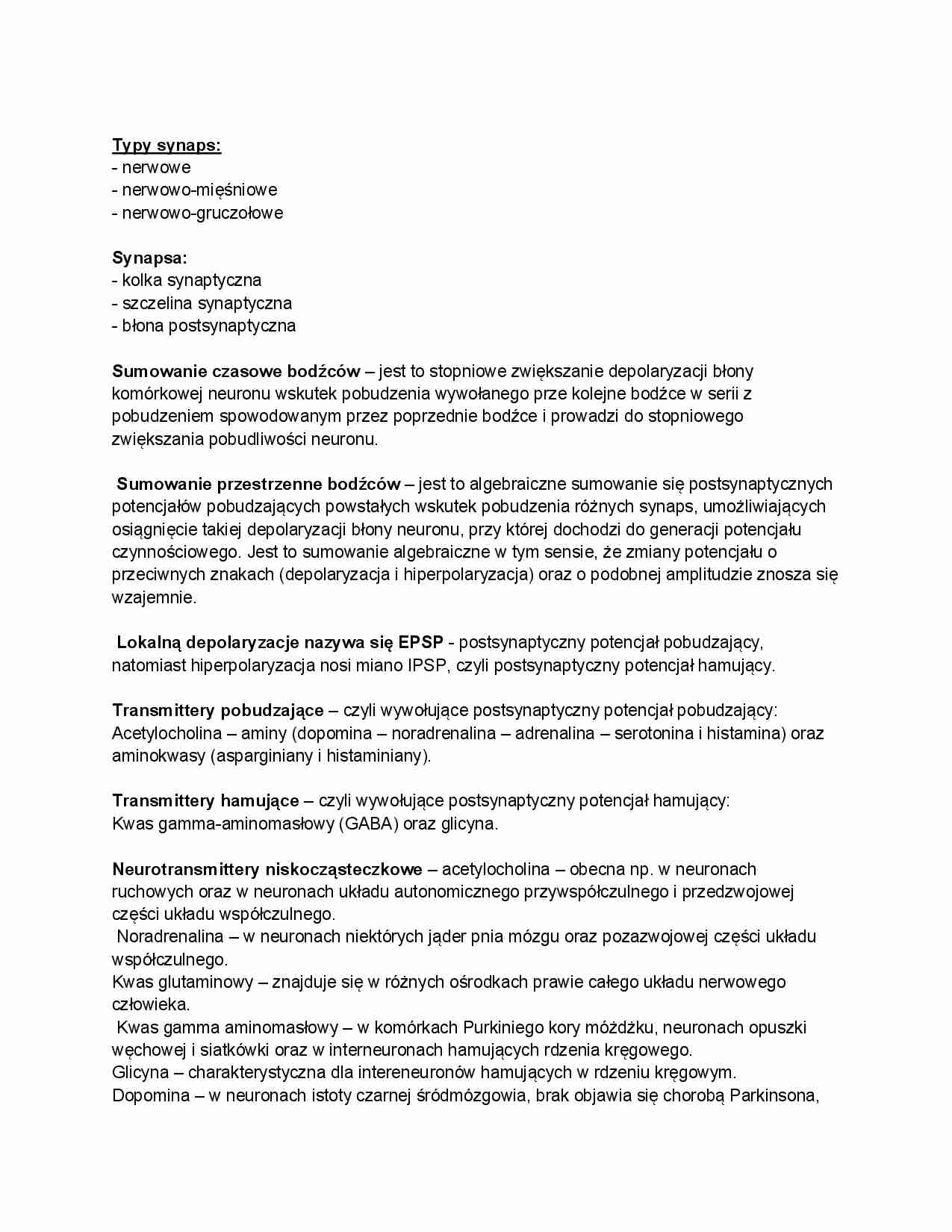 Elementy układu nerwowego - wykład - strona 1