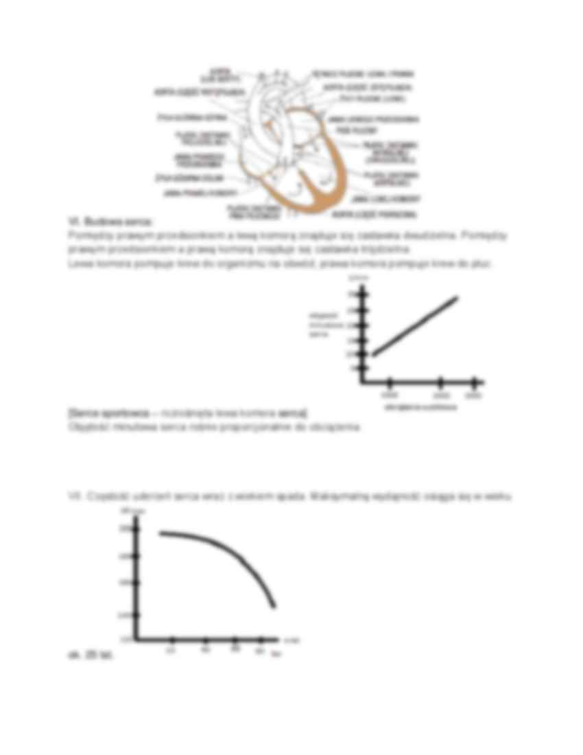 Układ krążenia - wykład - strona 2