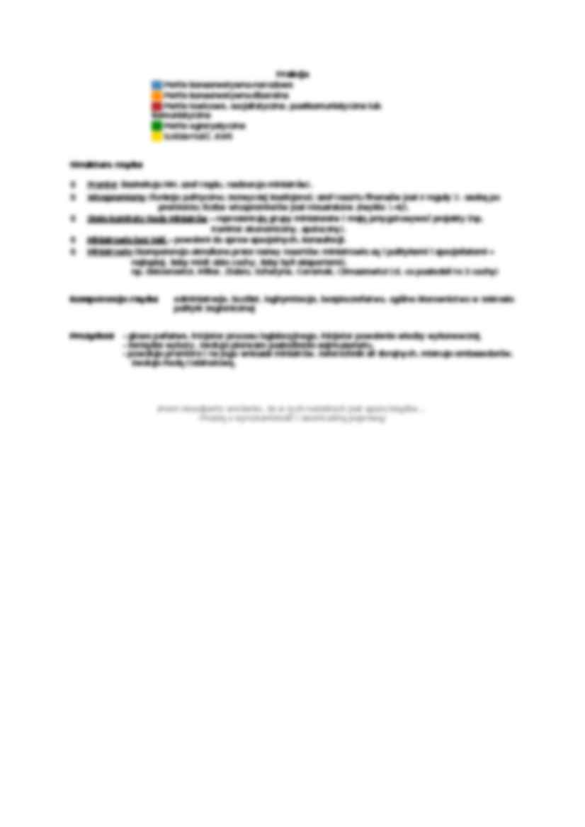 Władza wykonawcza w systemie politycznym - strona 3