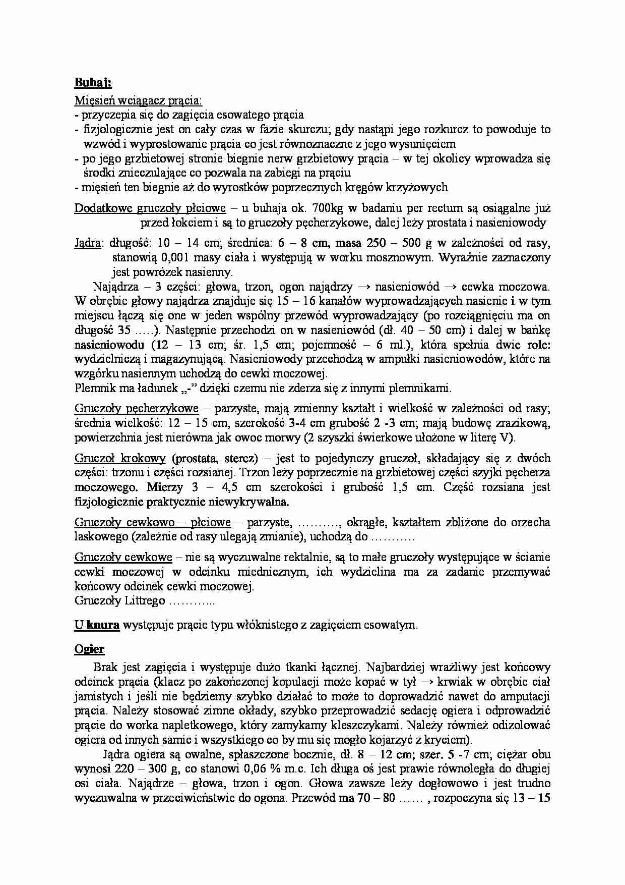 Samce-narządy płciowe - strona 1