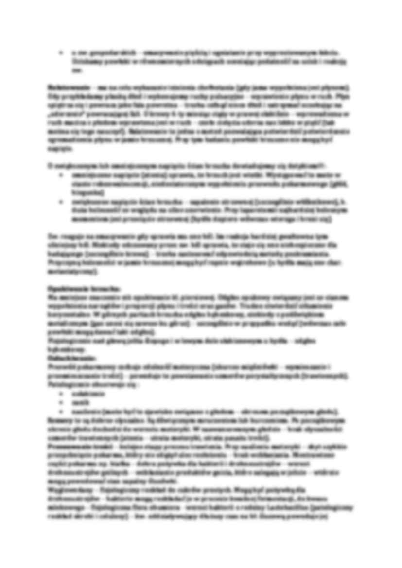 Zasady badania brzucha - strona 2