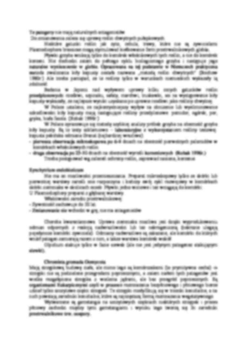 Grzyby - Pływka - strona 2