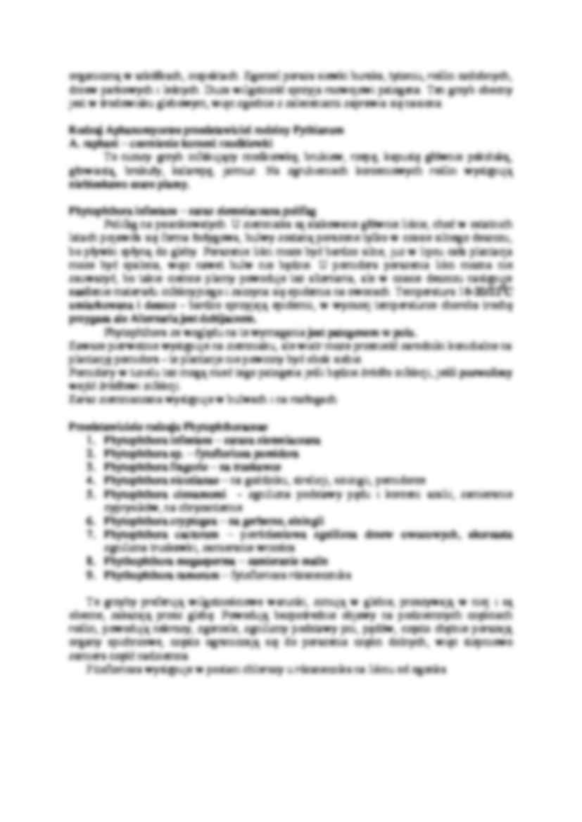 Grzyby-Pythium - strona 3