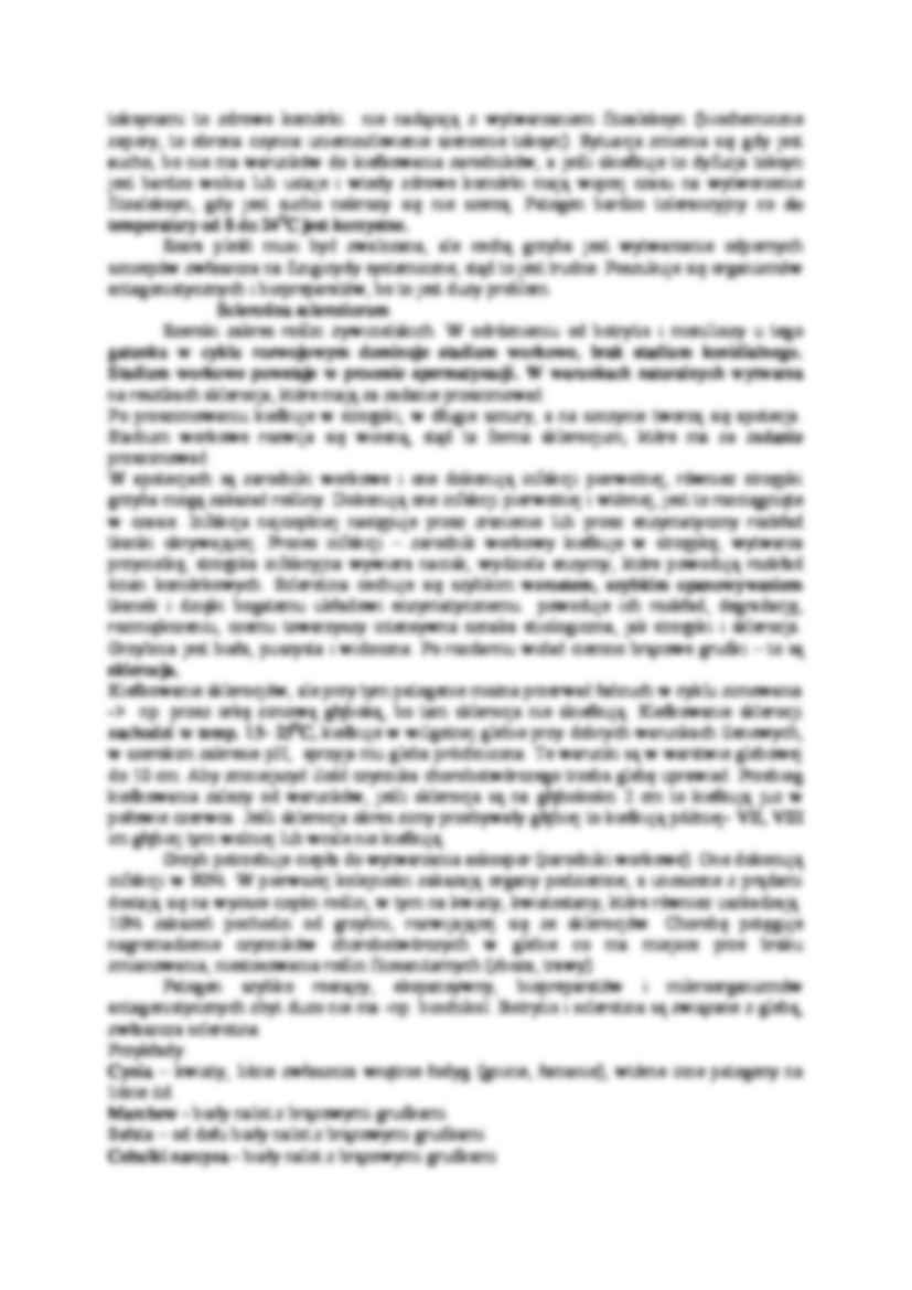Botrytis cinerea - strona 2