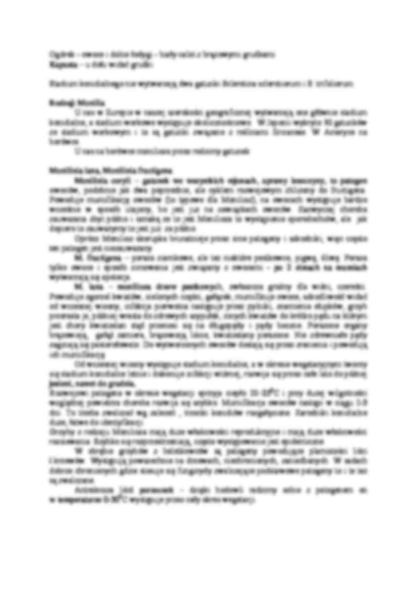Botrytis cinerea - strona 3