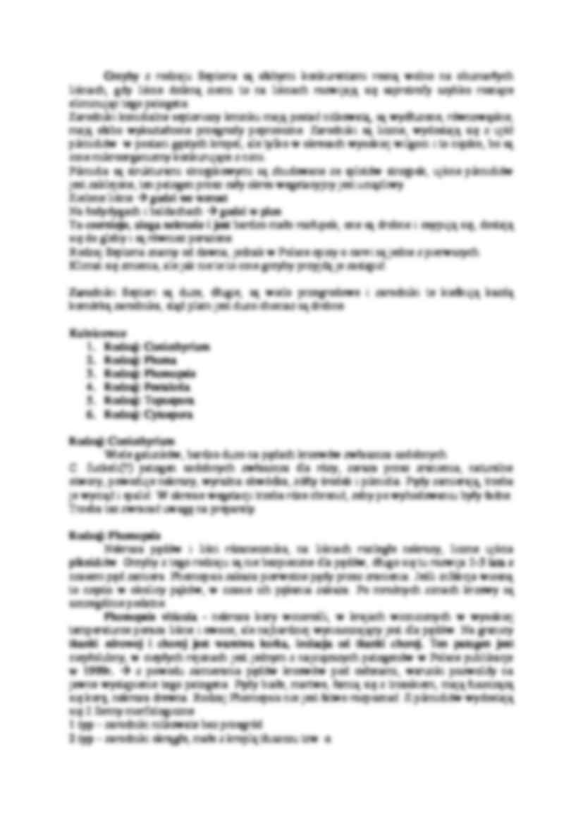 Podstawczaki - strona 2