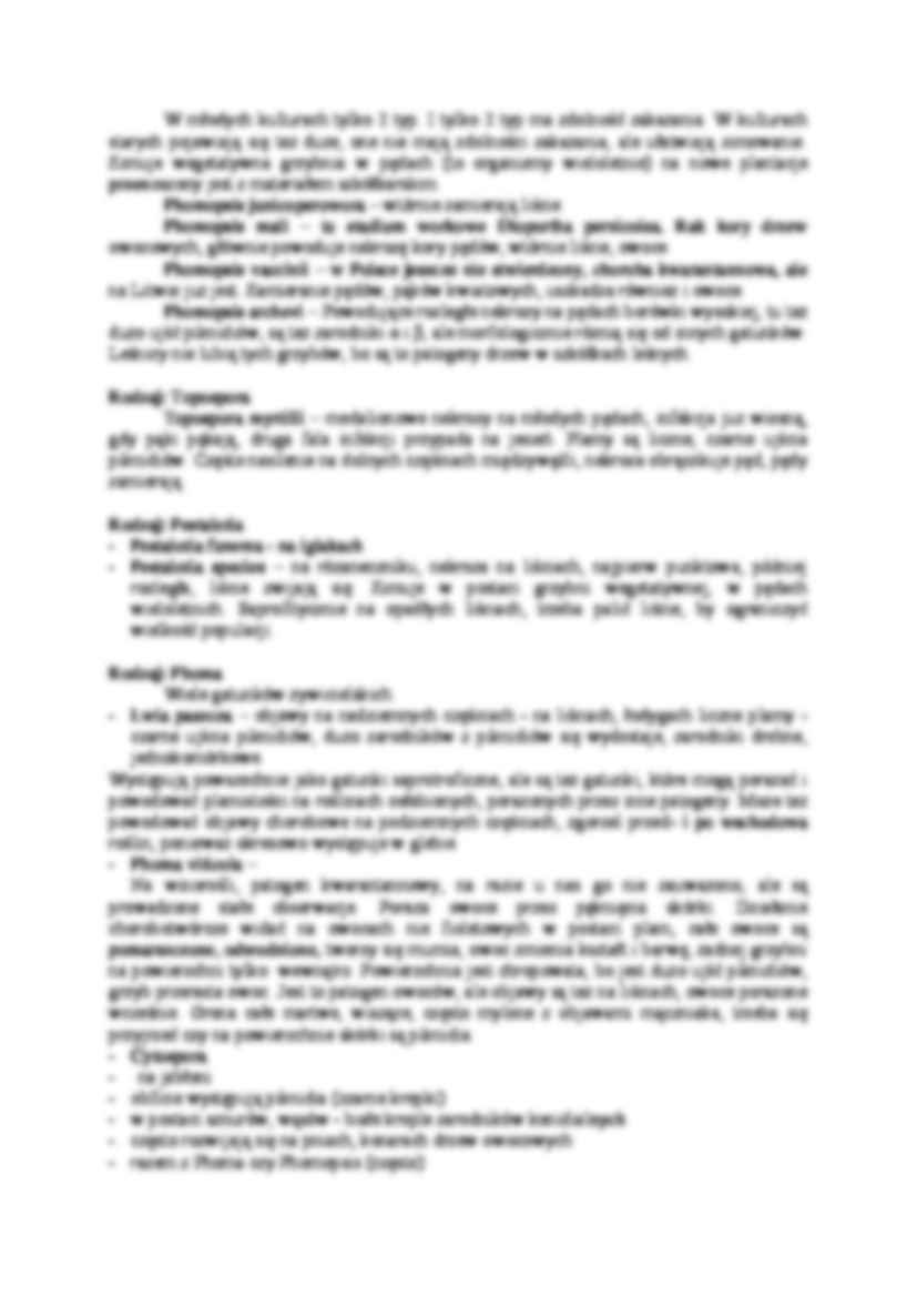 Podstawczaki - strona 3