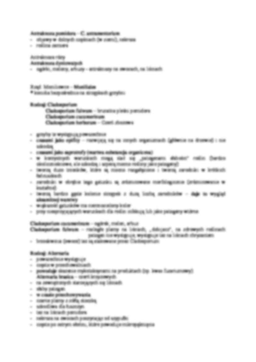 Warstwiaki - strona 2